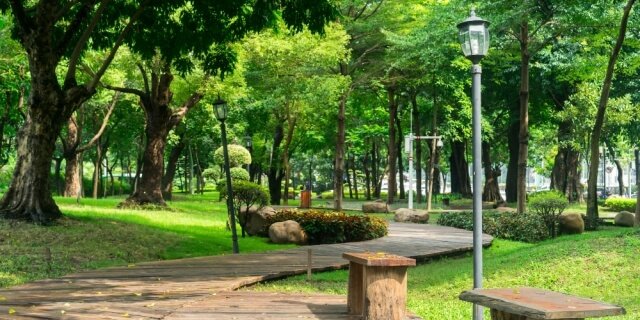 taman